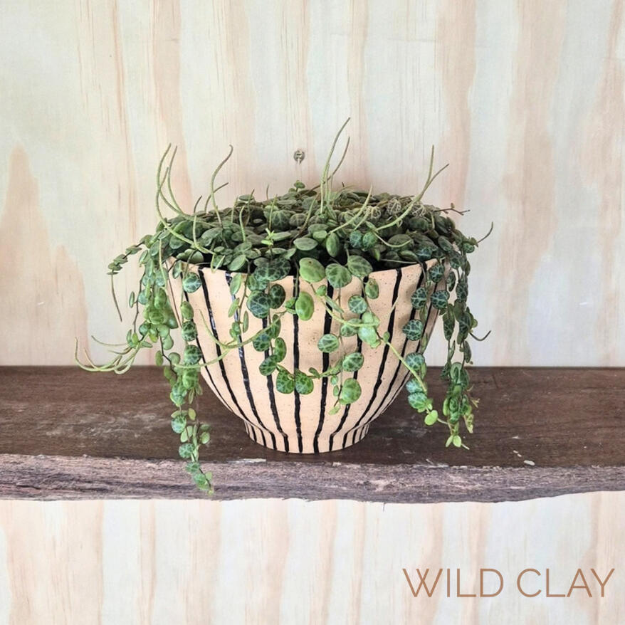 Everything doubles as a planter