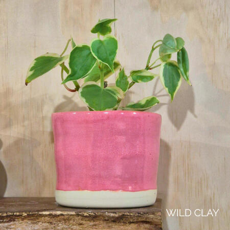 Rhubarb Everyday Pot $45 each | 11 cm | 2 available Hand-thrown in a vibrant rhubarb glaze, perfect for plants, stems or cutlery